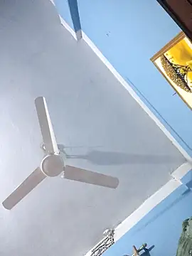 124pakhi online show from March 2026 07:31:02 AM