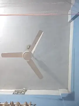 124pakhi online show from March 2026 02:40:02 PM