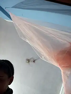 124pakhi online show from November 2025 05:19:01 AM