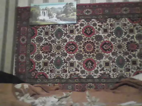 AlferezzSolvajo online show from November 2025 08:31:02 PM