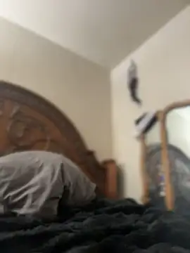 Kitty DaCocks online show from April 2026 10:44:02 PM