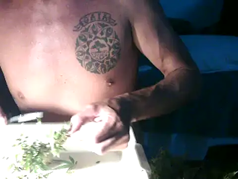 GoloZeusMax online show from March 2025 12:32:01 AM