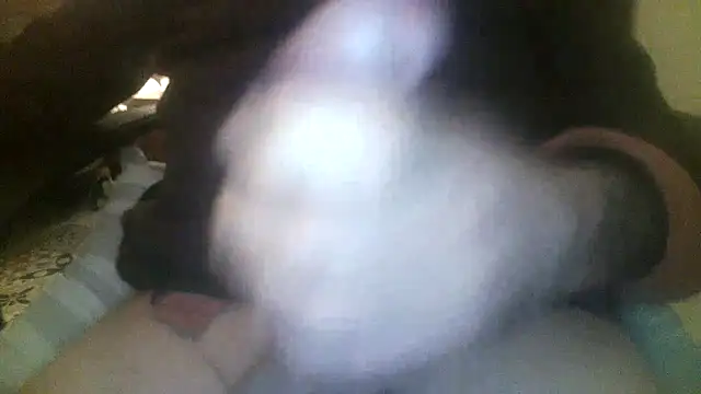 Snapshot of Patrickhound chatting on November 2025 03:39:01 AM Patrickhound online show from November 2025 03:39:01 AM