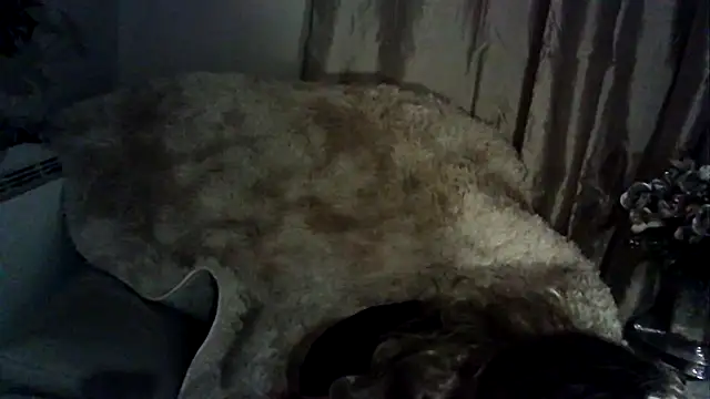 ImogenBrooke online show from February 2025 12:37:01 AM