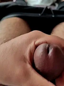 pitorico bb online show from September 2025 01:48:01 PM