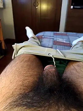 pitorico bb online show from February 2026 12:57:02 PM