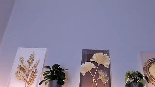 sara  jones gh online show from February 2026 06:19:02 PM