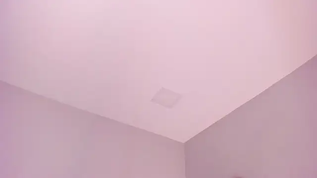 sara  jones gh online show from November 2025 05:06:01 PM