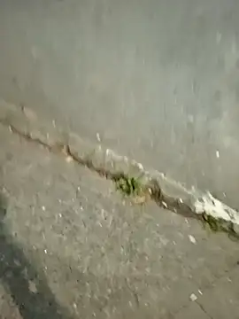 Snapshot of mmarvis_za78_93_21cm chatting on December 2025 11:31:02 PM mmarvis za78 93 21cm online show from December 2025 11:31:02 PM