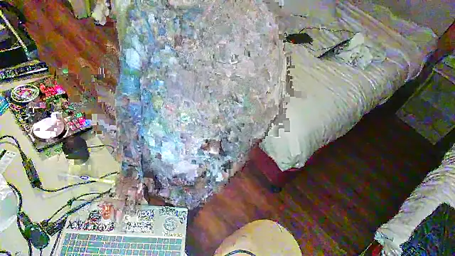 justthetip4209 online show from February 2025 03:01:02 AM