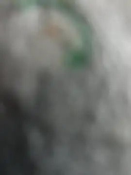 qazsazx online show from October 2025 03:55:02 PM