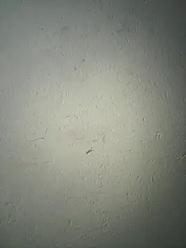 Snapshot of triplebeast chatting on December 2025 08:16:02 AM triplebeast online show from December 2025 08:16:02 AM