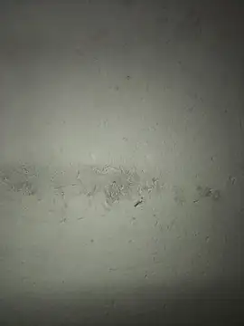 Snapshot of triplebeast chatting on December 2025 05:17:02 PM triplebeast online show from December 2025 05:17:02 PM