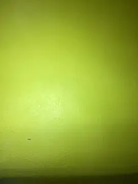 Snapshot of triplebeast chatting on January 2025 10:54:02 PM triplebeast online show from January 2025 10:54:02 PM