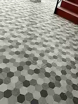 vannaaaa100 online show from January 2025 09:47:01 AM