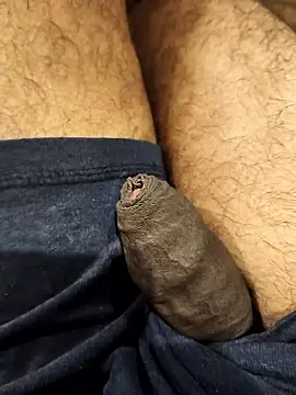 vannaaaa100 online show from January 2026 03:07:02 PM