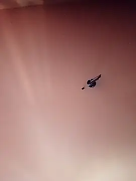 Snapshot of BR_master chatting on September 2025 10:19:02 AM BR master online show from September 2025 10:19:02 AM