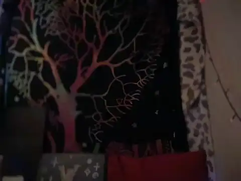 badboy366 online show from February 2026 12:06:01 AM