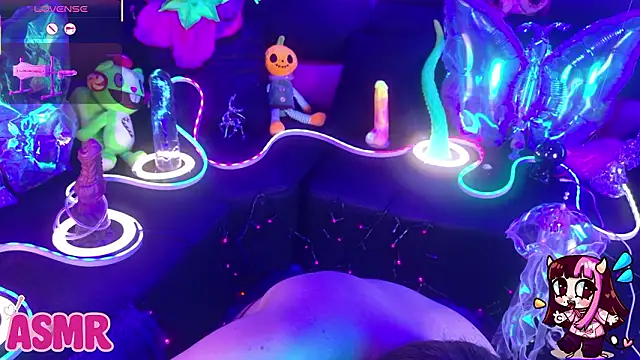 LaytonBox online show from March 2026 01:01:02 PM