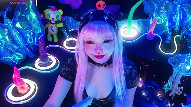 LaytonBox online show from March 2026 03:03:01 PM