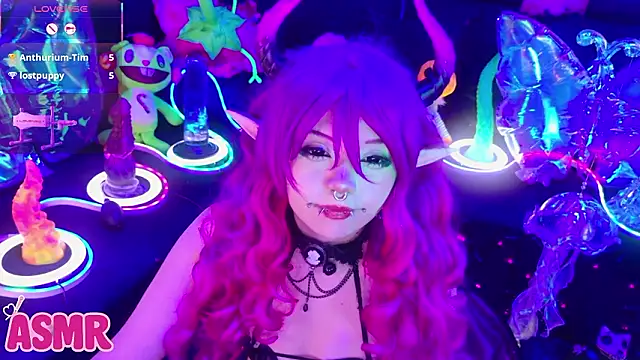 LaytonBox online show from February 2026 01:20:02 PM