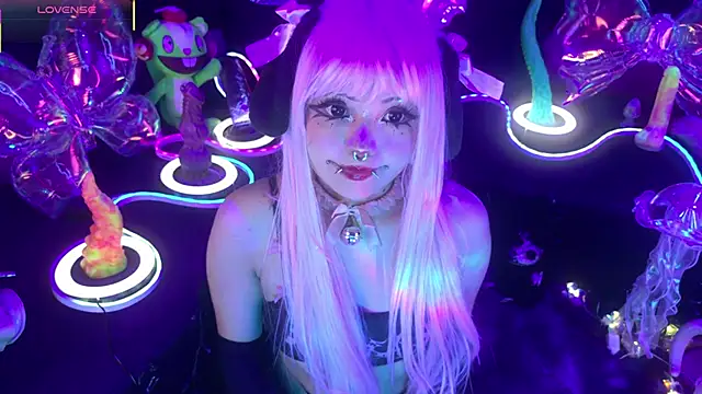 LaytonBox online show from March 2026 01:23:02 PM