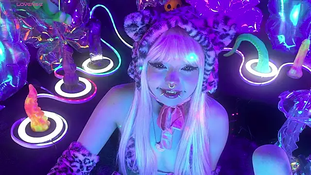 LaytonBox online show from March 2026 02:17:02 PM