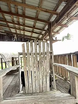 32XRedBeard online show from March 2026 10:17:01 PM