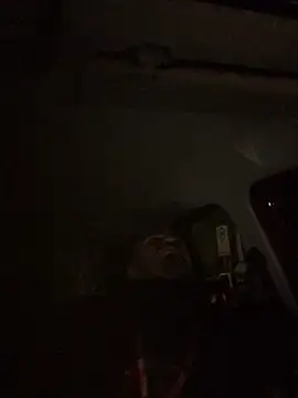 ilmaestoso online show from January 2025 12:31:02 AM