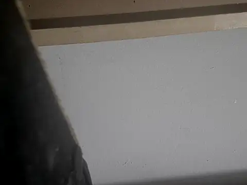 Snapshot of filthymind619 chatting on January 2025 05:00:01 AM filthymind619 online show from January 2025 05:00:01 AM