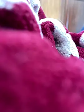 BCFZD online show from November 2025 01:22:01 PM