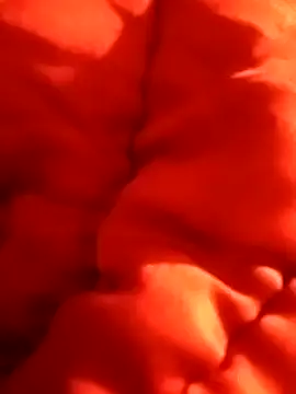 Snapshot of aiandru chatting on March 2025 07:39:01 PM aiandru online show from March 2025 07:39:01 PM