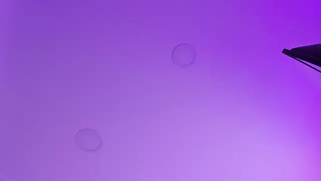 kathy bakerr online show from March 2026 01:24:01 PM