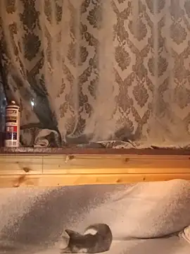 rosse26830 online show from September 2025 04:25:02 PM