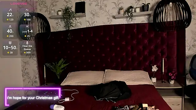 tim  fox online show from December 2025 12:22:02 PM