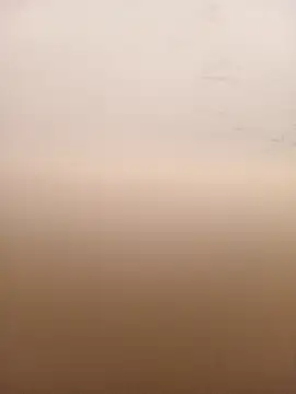 mario0212 online show from March 2026 11:49:01 AM