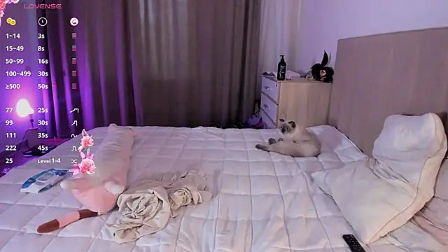 marin light online show from November 2025 10:37:01 AM