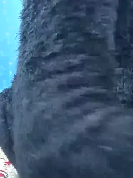 Snapshot of Snehalive chatting on November 2025 05:07:02 AM Snehalive online show from November 2025 05:07:02 AM