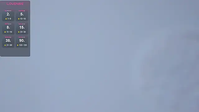 SibleyDryer online show from January 2025 10:31:02 AM