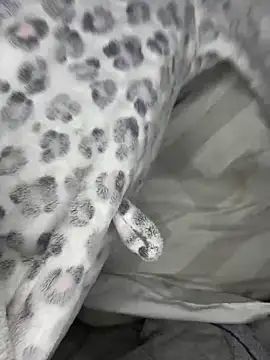 VioletxBlue online show from March 2026 11:33:02 AM