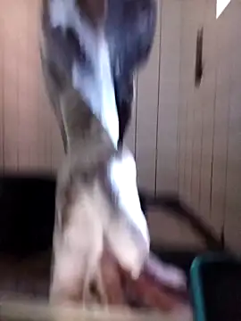 Dube501 online show from October 2025 05:42:01 AM