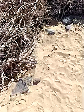 MountJohnXL online show from February 2025 02:46:01 PM