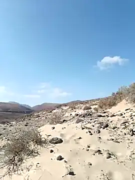 MountJohnXL online show from March 2025 04:22:01 PM