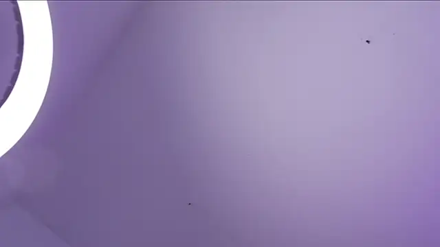 CleeoAdams  online show from March 2026 08:26:33 AM