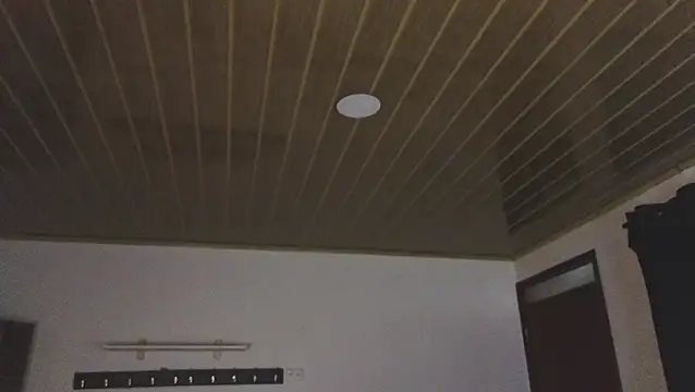 Renaxi Smith online show from March 2026 07:51:01 PM