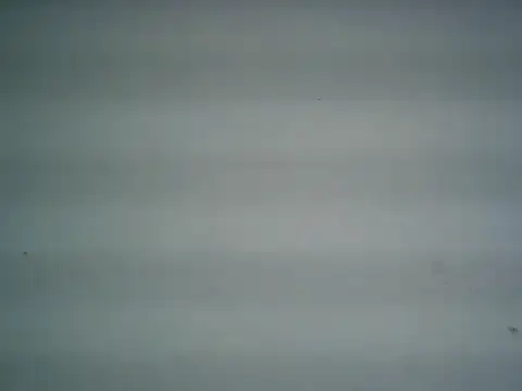 michel1520 online show from June 2026 12:27:02 AM
