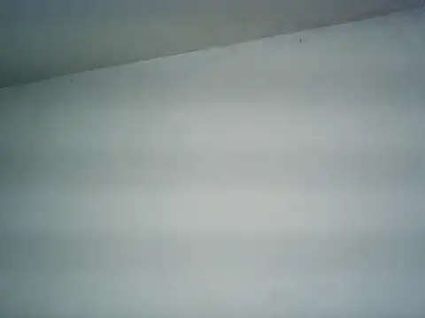 michel1520 online show from June 2026 12:37:01 AM