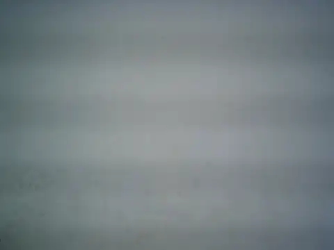 michel1520 online show from June 2026 06:53:02 PM