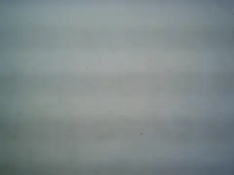 michel1520 online show from July 2026 11:29:01 AM