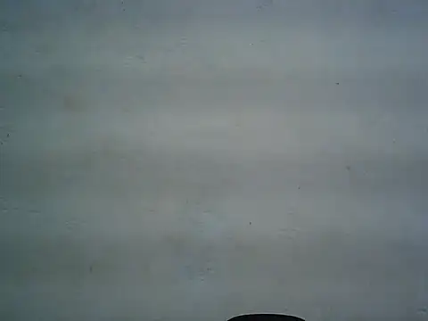 Snapshot of michel1520 chatting on May 2026 07:43:01 AM michel1520 online show from May 2026 07:43:01 AM